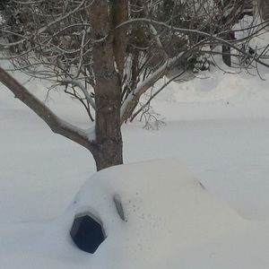 Meet your Posher, Ms